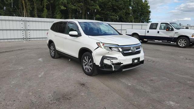 2019 Honda Pilot Ex VIN: 5FNYF5H34KB009902 Lot: 82224455