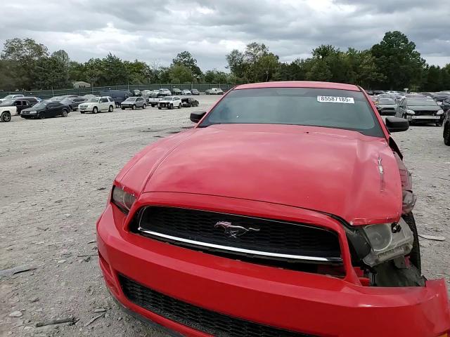 2014 Ford Mustang VIN: 1ZVBP8AM1E5251122 Lot: 85587185