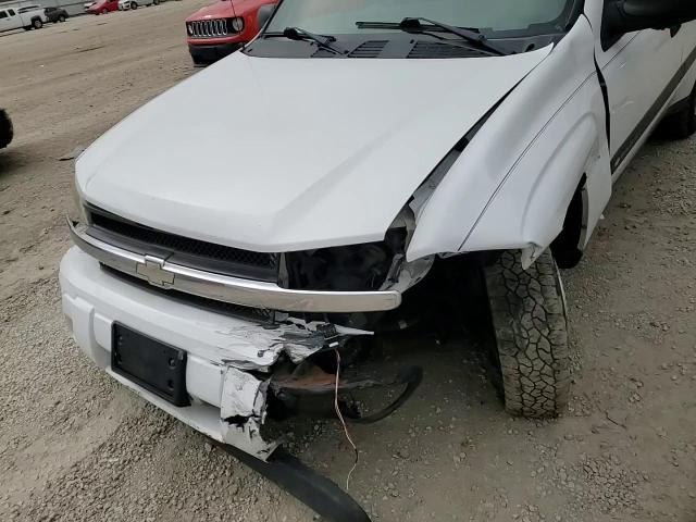 2004 Chevrolet Trailblazer Ls VIN: 1GNDT13S442424200 Lot: 85781525
