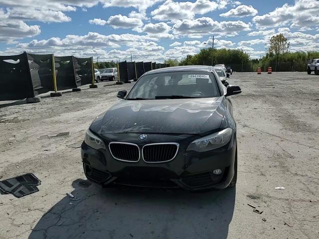 2014 BMW 228 I VIN: WBA1F5C59EV255387 Lot: 89439045