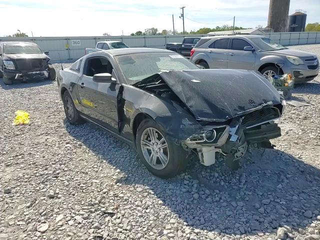 2013 Ford Mustang VIN: 1ZVBP8AM1D5273538 Lot: 87391275