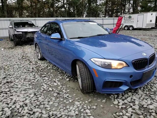 2015 BMW 228 Xi Sulev VIN: WBA1G9C59FVX96669 Lot: 86502635