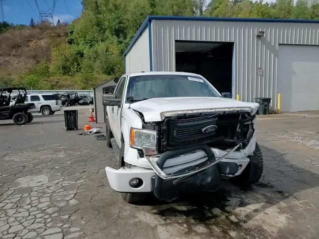 2013 Ford F150 Super Cab VIN: 1FTFX1EF9DFD25032 Lot: 82257425