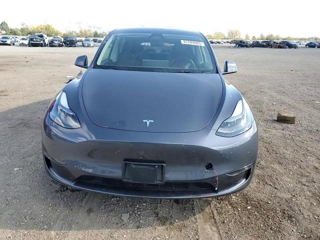 2024 Tesla Model Y VIN: 7SAYGDEE6RA217299 Lot: 87289985