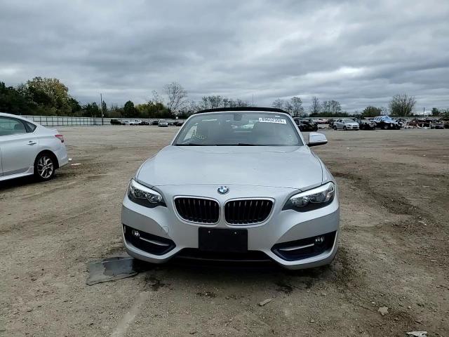 2017 BMW 230Xi VIN: WBA2M9C54HV717425 Lot: 89652355