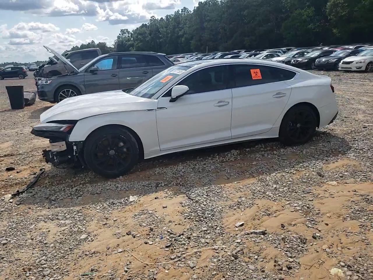 Фото: WAUCNCF59LA002229