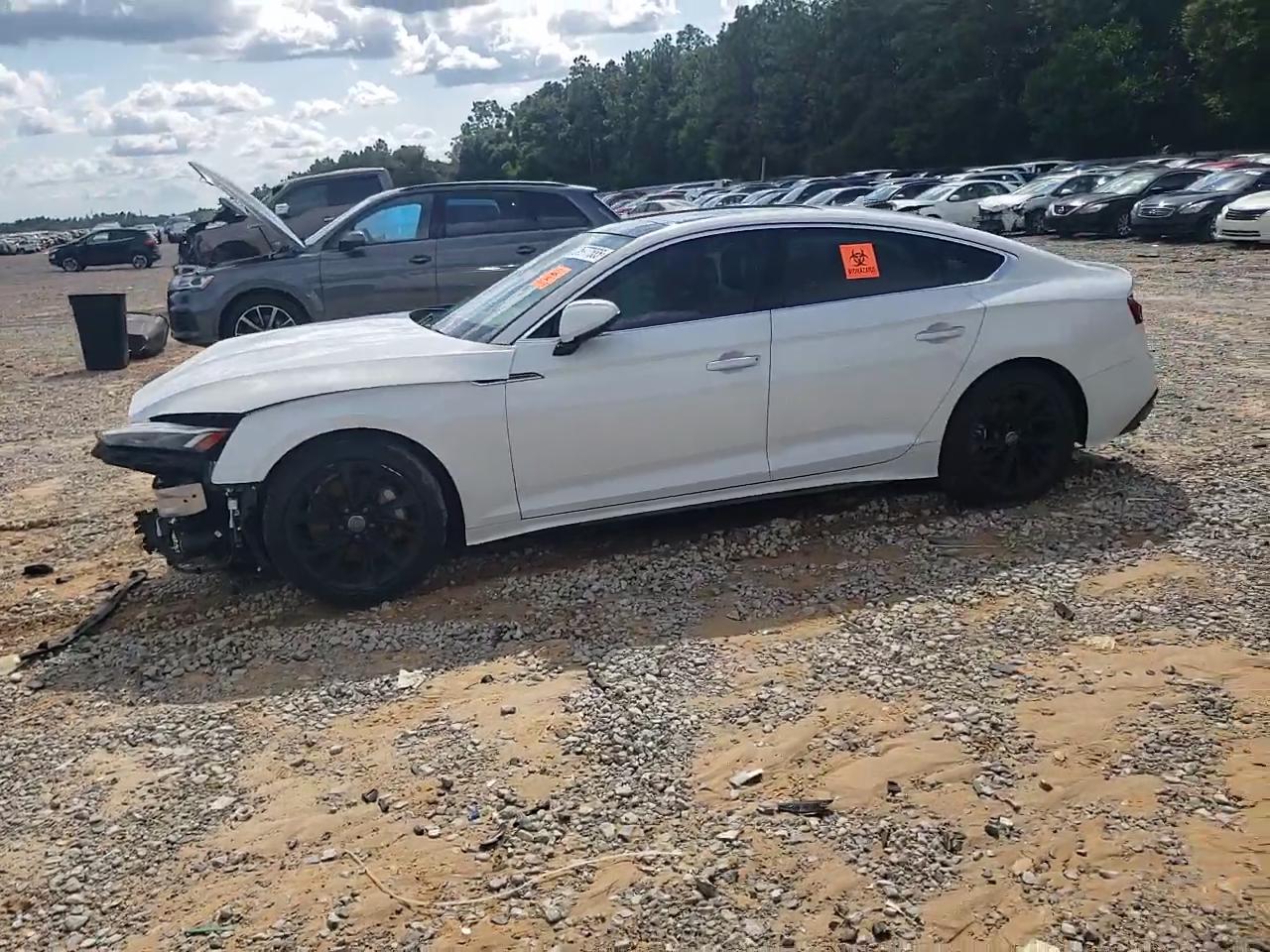 Фото: WAUCNCF59LA002229