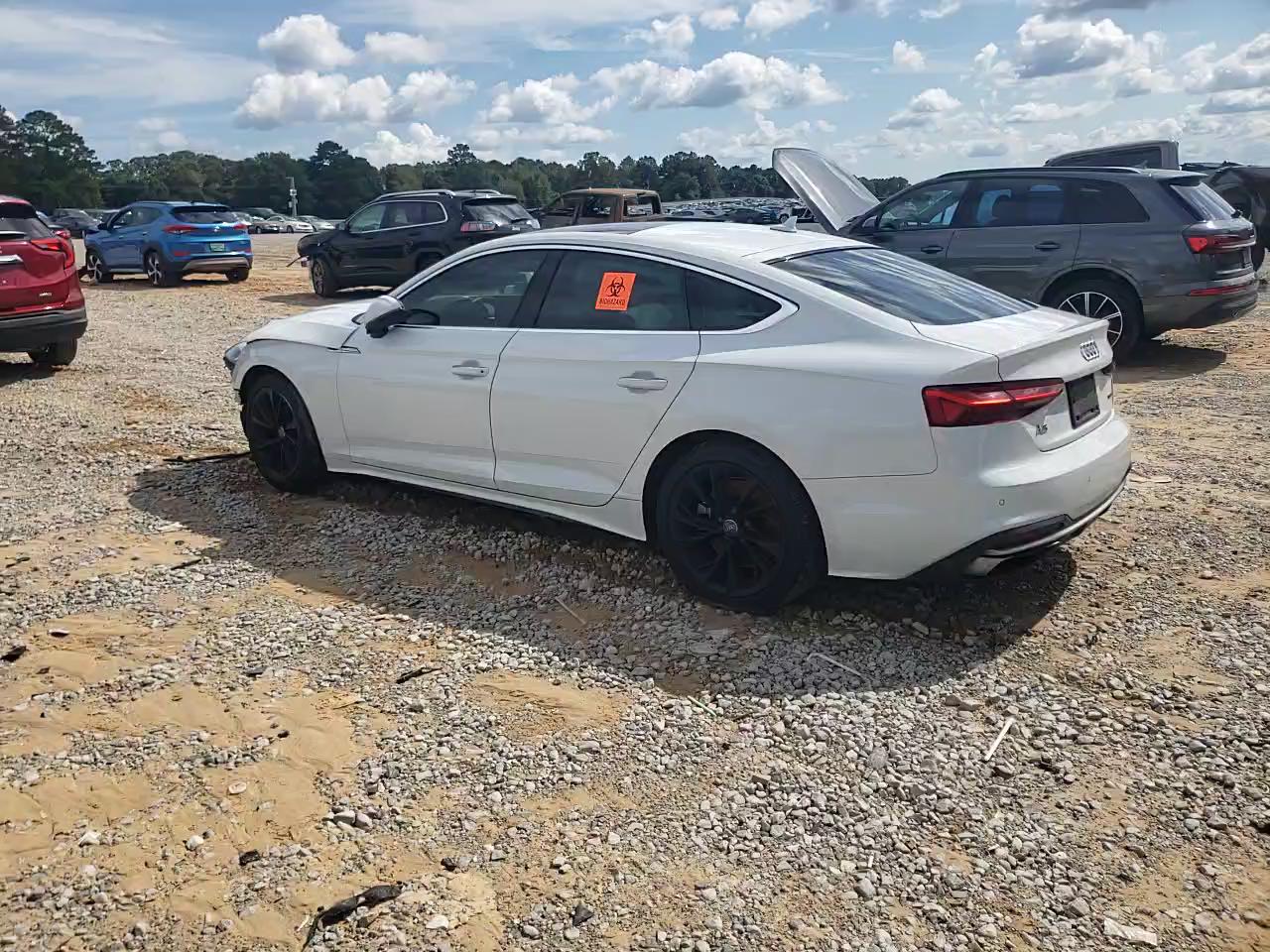 Фото: WAUCNCF59LA002229