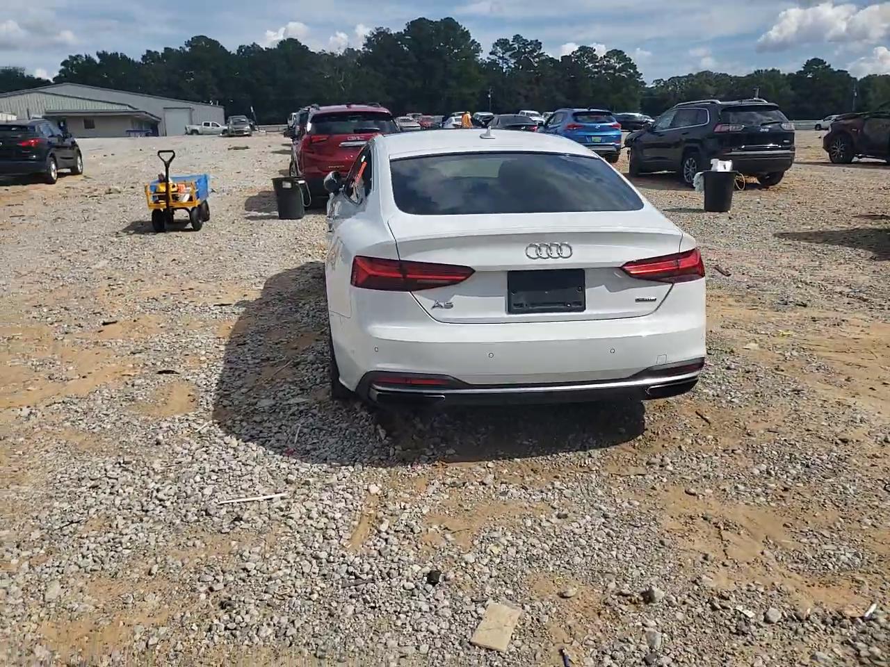 Фото: WAUCNCF59LA002229