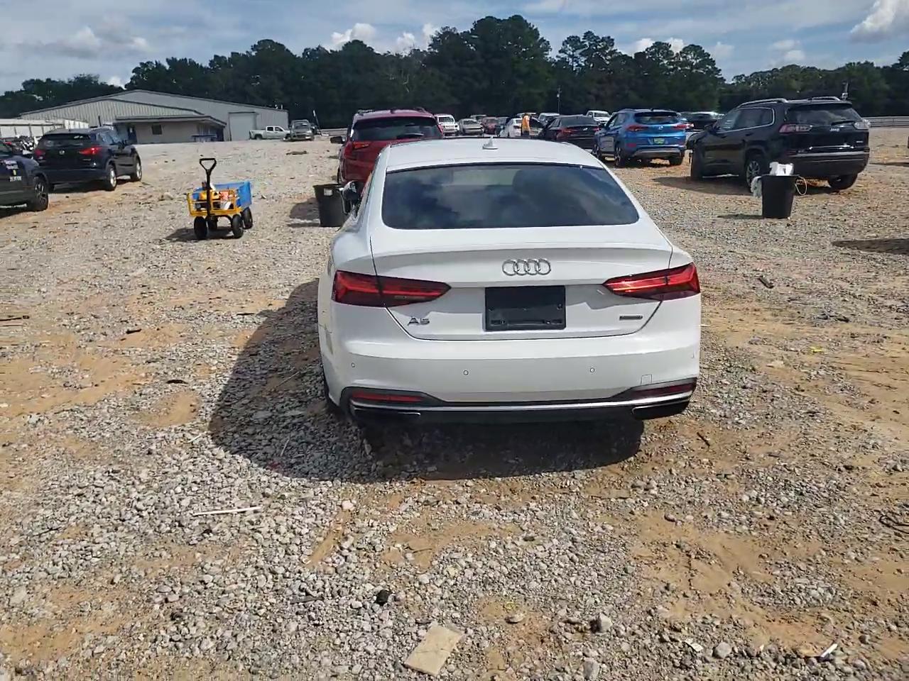 Фото: WAUCNCF59LA002229