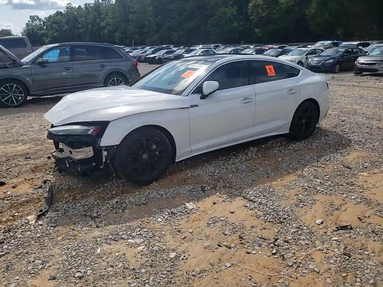 Фото: WAUCNCF59LA002229