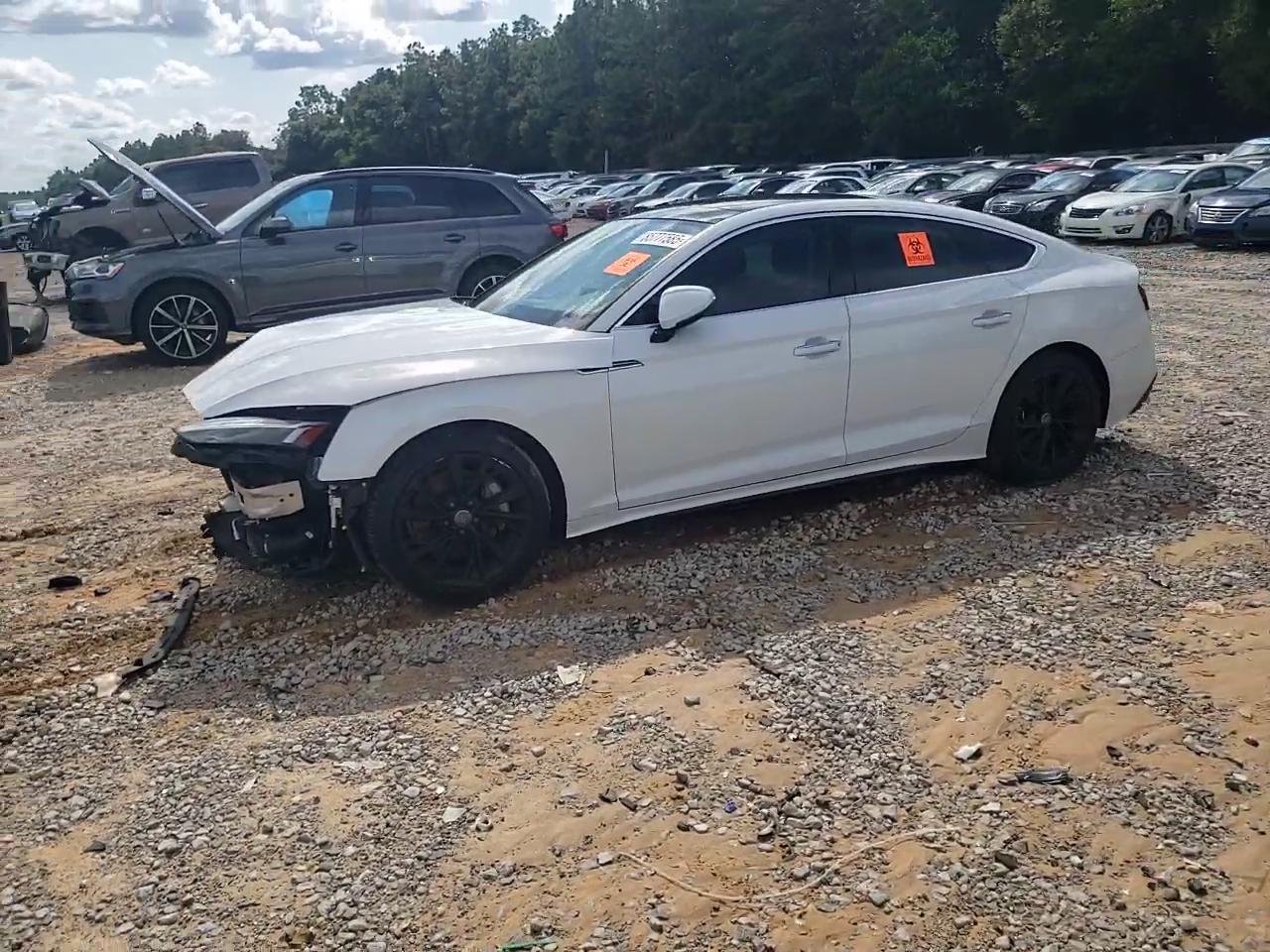 Фото: WAUCNCF59LA002229