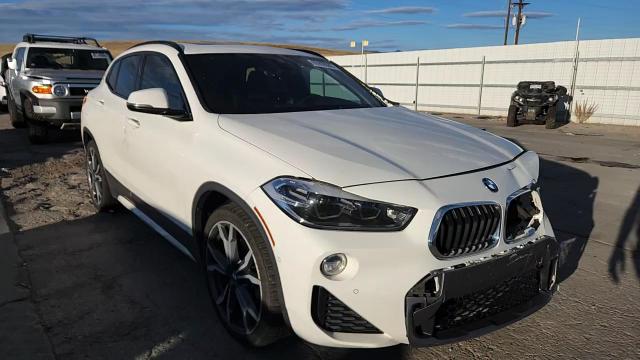 2020 BMW X2 xDrive28I VIN: WBXYJ1C01L5R67809 Lot: 85909085