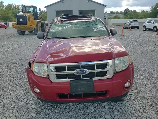 2010 Ford Escape Xlt VIN: 1FMCU0DG9AKA53550 Lot: 85820325