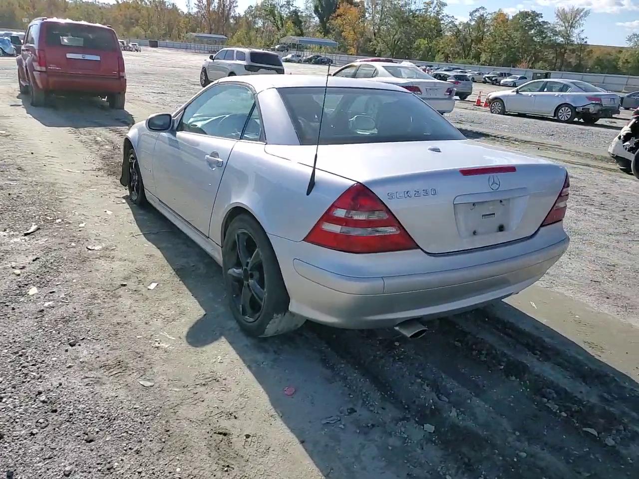 Фото: WDBKK49F91F187494