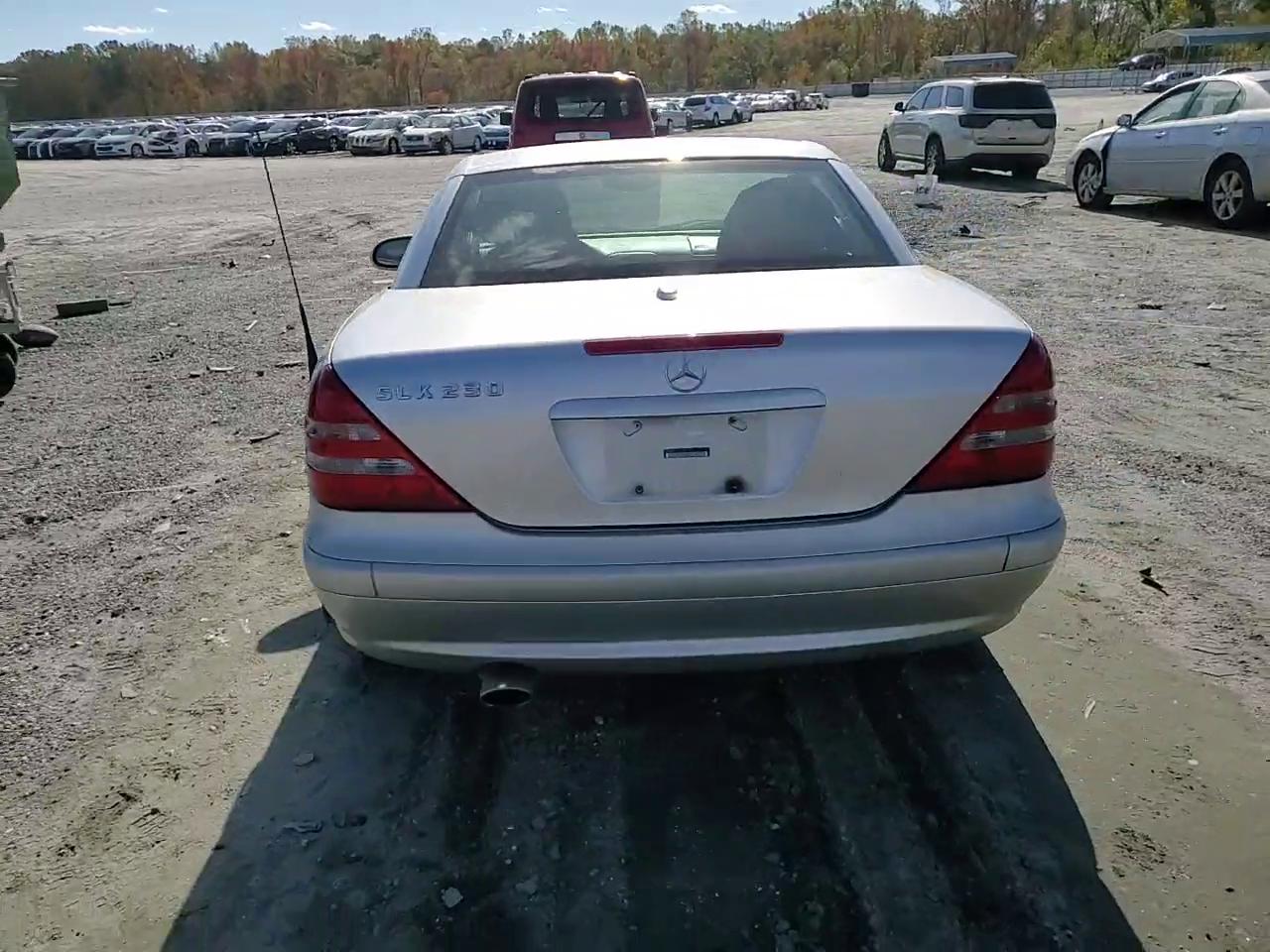 Фото: WDBKK49F91F187494