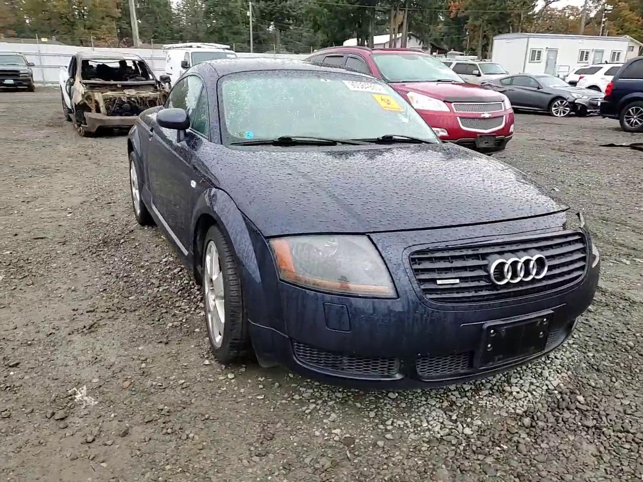 Фото: TRUWT28N121010553