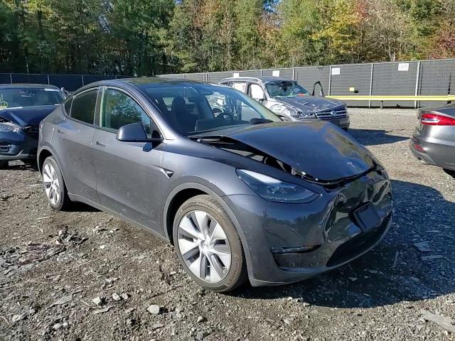 2024 Tesla Model Y VIN: 7SAYGDEE8RA270859 Lot: 89484765