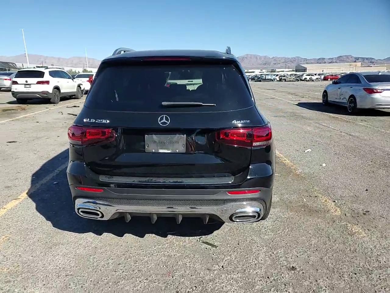 Фото: W1N4M4HB4NW230821