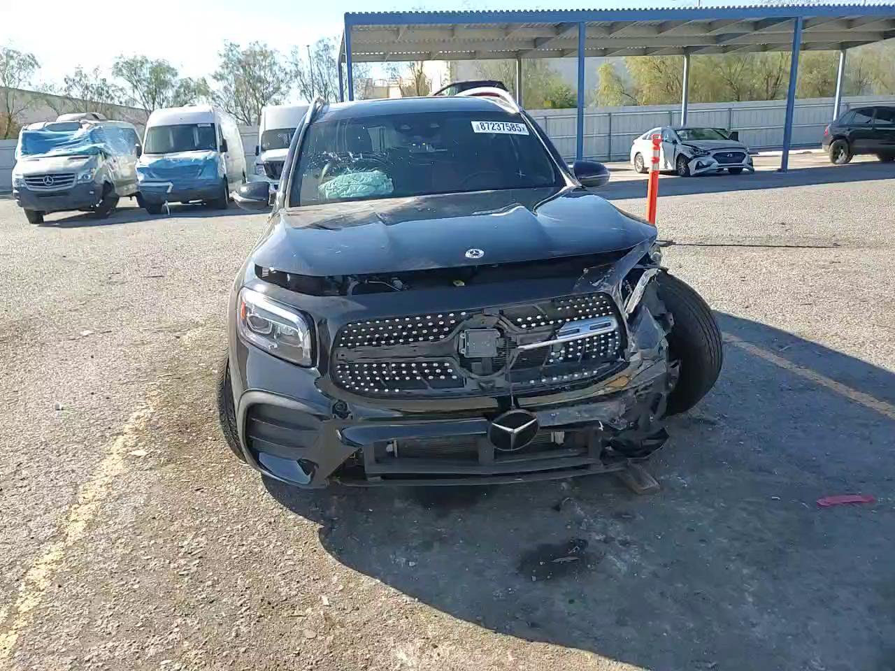 Фото: W1N4M4HB4NW230821