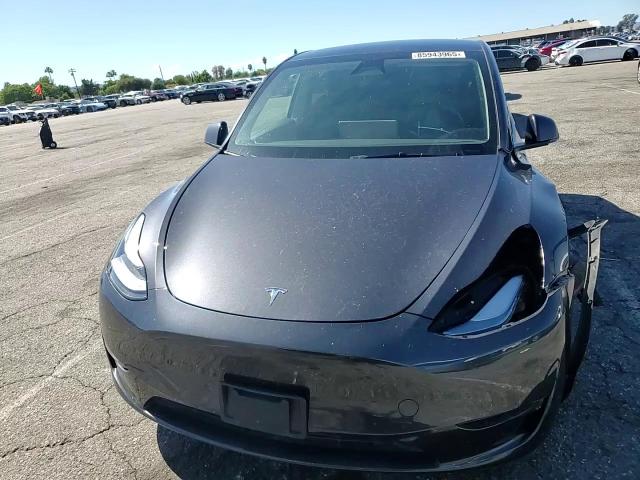 2025 Tesla Model Y VIN: 7SAYGDED6SF243952 Lot: 85943965