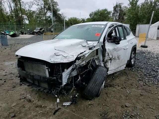 2024 Hyundai Tucson Se VIN: 5NMJACDE1RH316142 Lot: 86296355