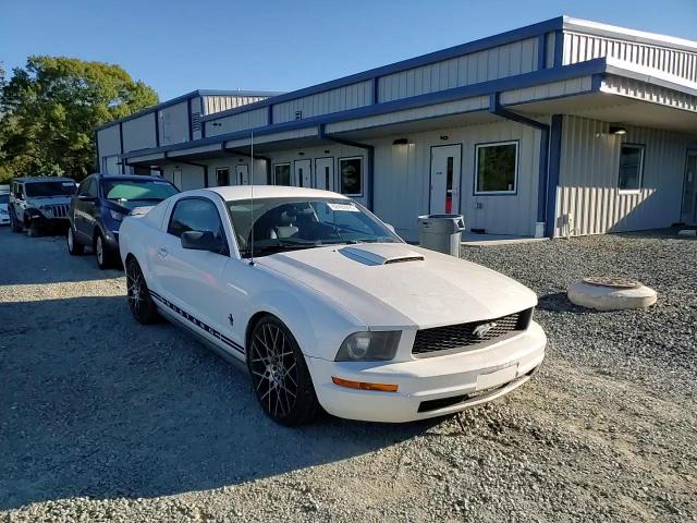 2005 Ford Mustang VIN: 1ZVFT80NX55103641 Lot: 82490805