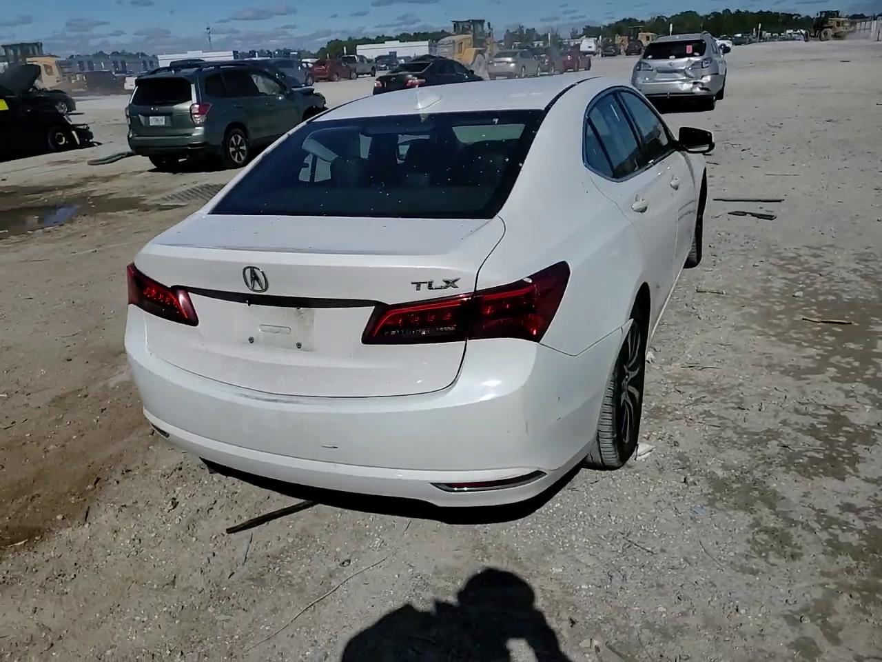 Фото: 19UUB1F56FA004711