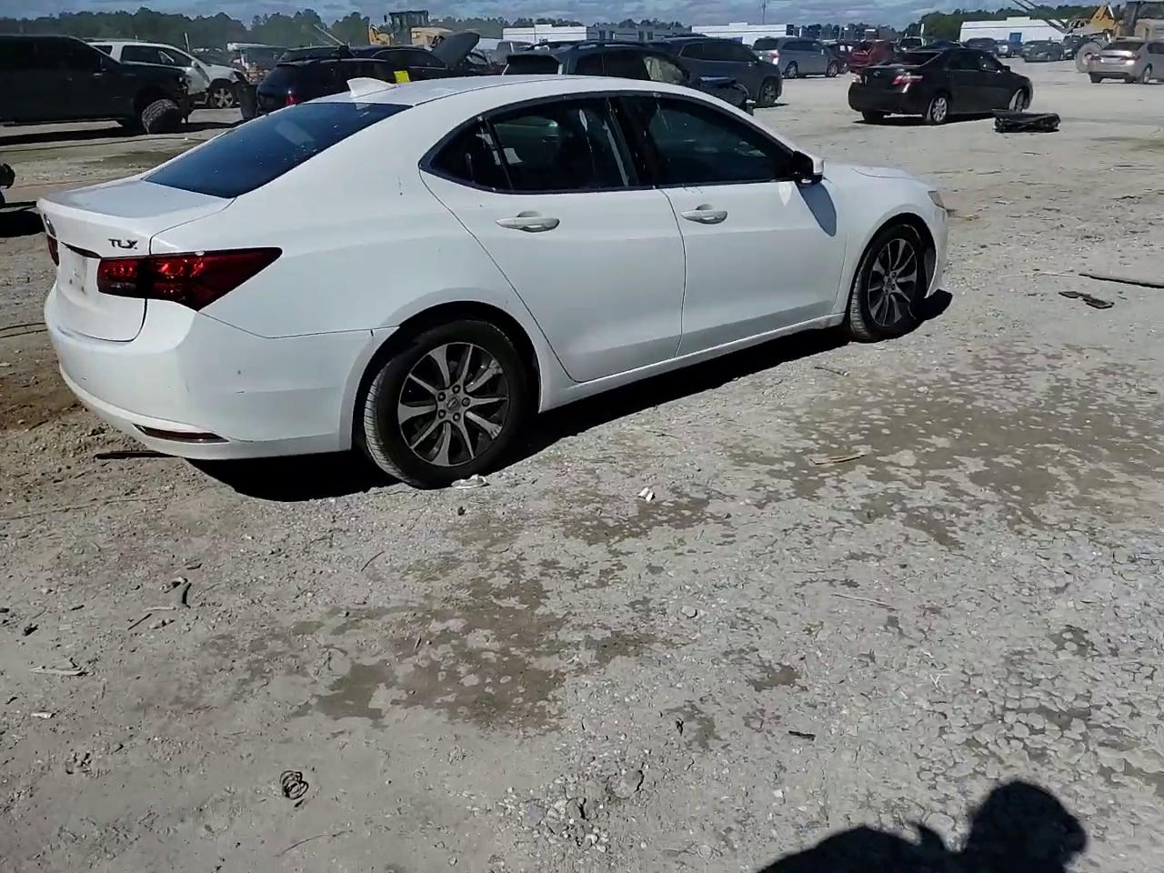 Фото: 19UUB1F56FA004711