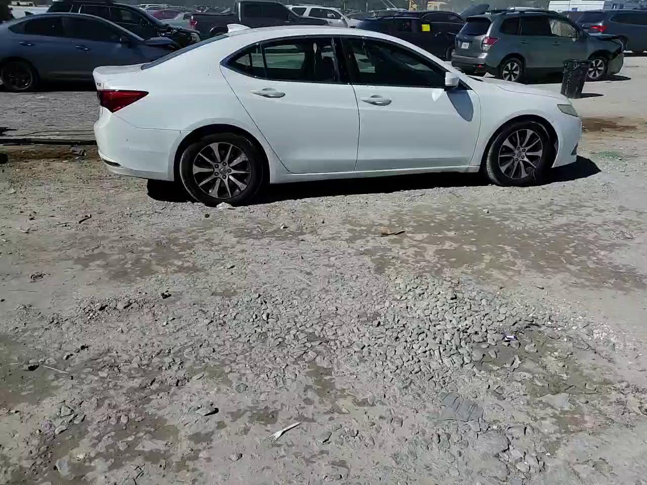 Фото: 19UUB1F56FA004711