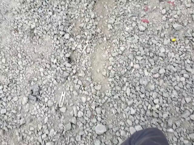 2013 Mercedes-Benz C 250 VIN: WDDGF4HB1DR245438 Lot: 84523105