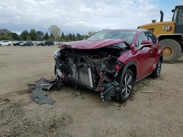 2020 Lexus Nx 300H VIN: JTJGJRDZ8L5000521 Lot: 90935755