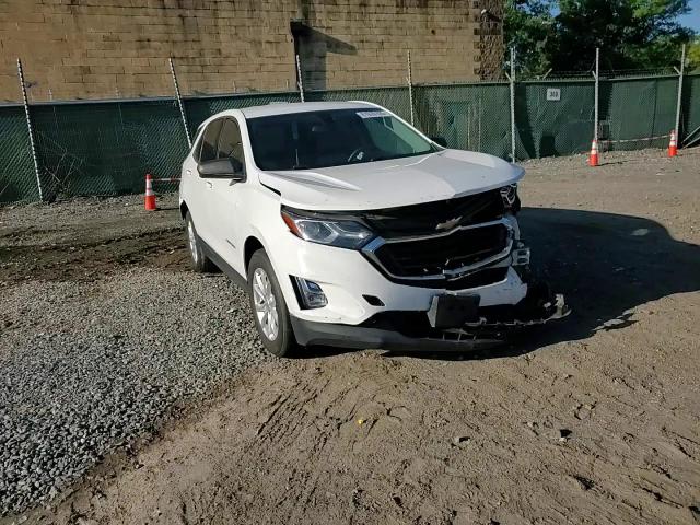 2019 Chevrolet Equinox Ls VIN: 3GNAXHEV7KS562743 Lot: 81970105