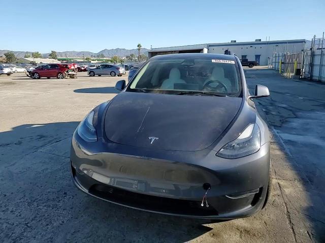 2023 Tesla Model Y VIN: 7SAYGDEE7PF900807 Lot: 86670475