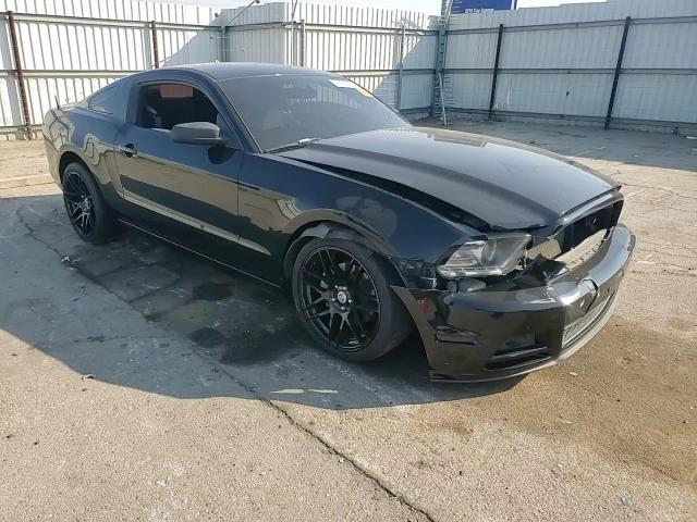 2013 Ford Mustang VIN: 1ZVBP8AMXD5216495 Lot: 90684215