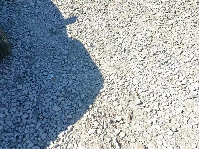 2023 Toyota Camry Se Night Shade VIN: 4T1G11AK3PU815440 Lot: 82482135