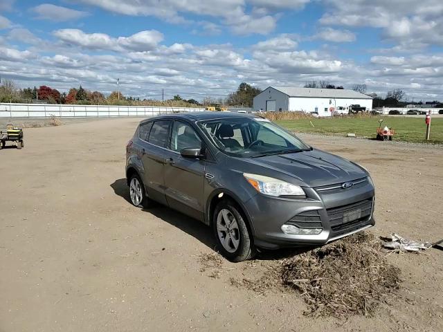 2014 Ford Escape Se VIN: 1FMCU0GX2EUC66667 Lot: 90549365