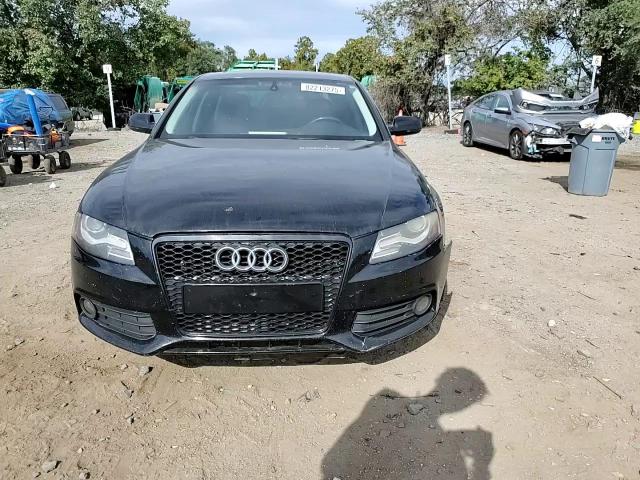 2010 Audi A4 Premium Plus VIN: WAUFFAFL4AN006563 Lot: 82213275