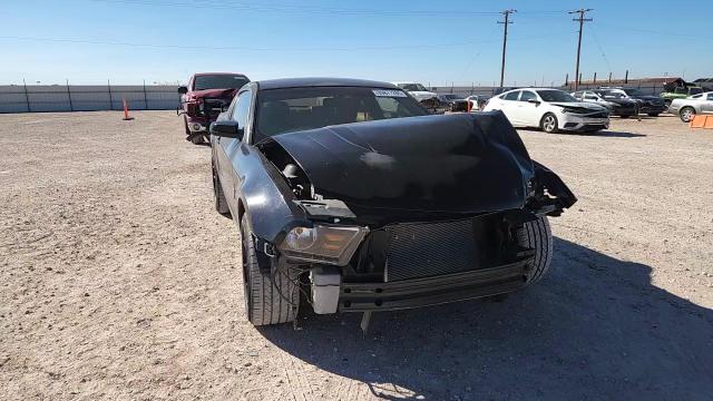 2010 Ford Mustang VIN: 1ZVBP8AN3A5165572 Lot: 89877285