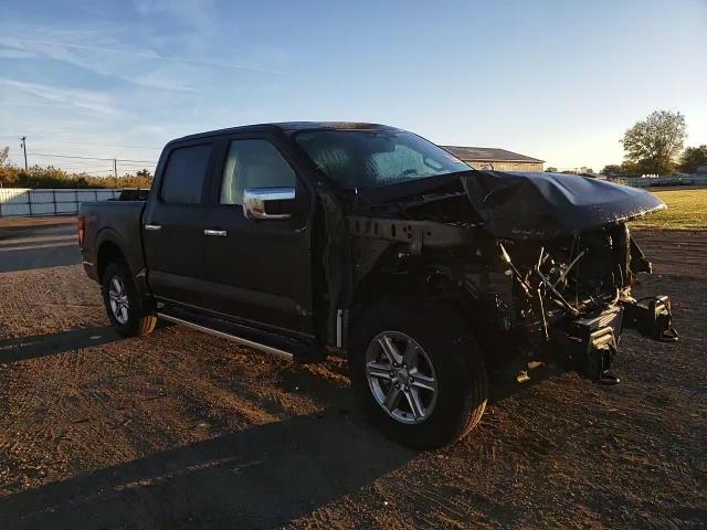 2024 Ford F150 Xlt VIN: 1FTEW3LP5RFA56458 Lot: 82277265