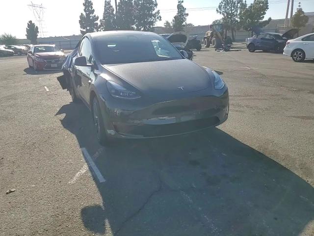 2025 Tesla Model Y VIN: 7SAYGDED8SF317193 Lot: 84065245