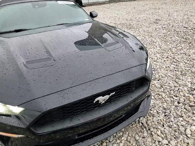 2019 Ford Mustang VIN: 1FATP8UH4K5178884 Lot: 82293825