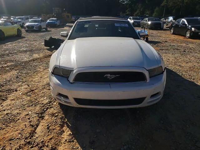 2013 Ford Mustang VIN: 1ZVBP8EM9D5207393 Lot: 71083185