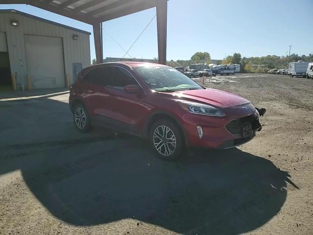 2022 Ford Escape Sel VIN: 1FMCU9H9XNUA00186 Lot: 81974305