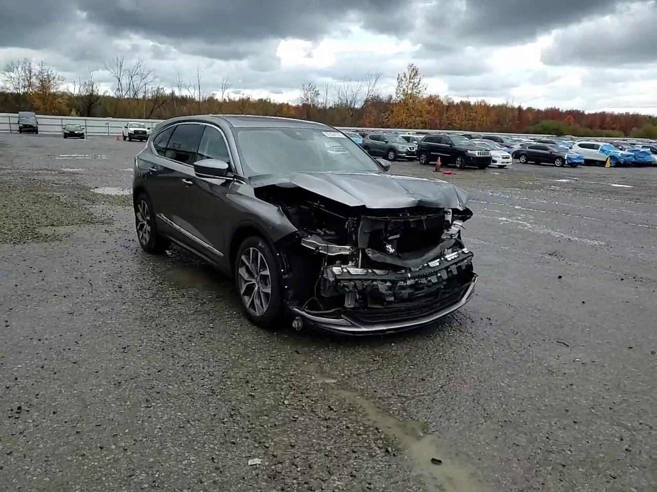 Фото: 5J8YE1H41RL010714