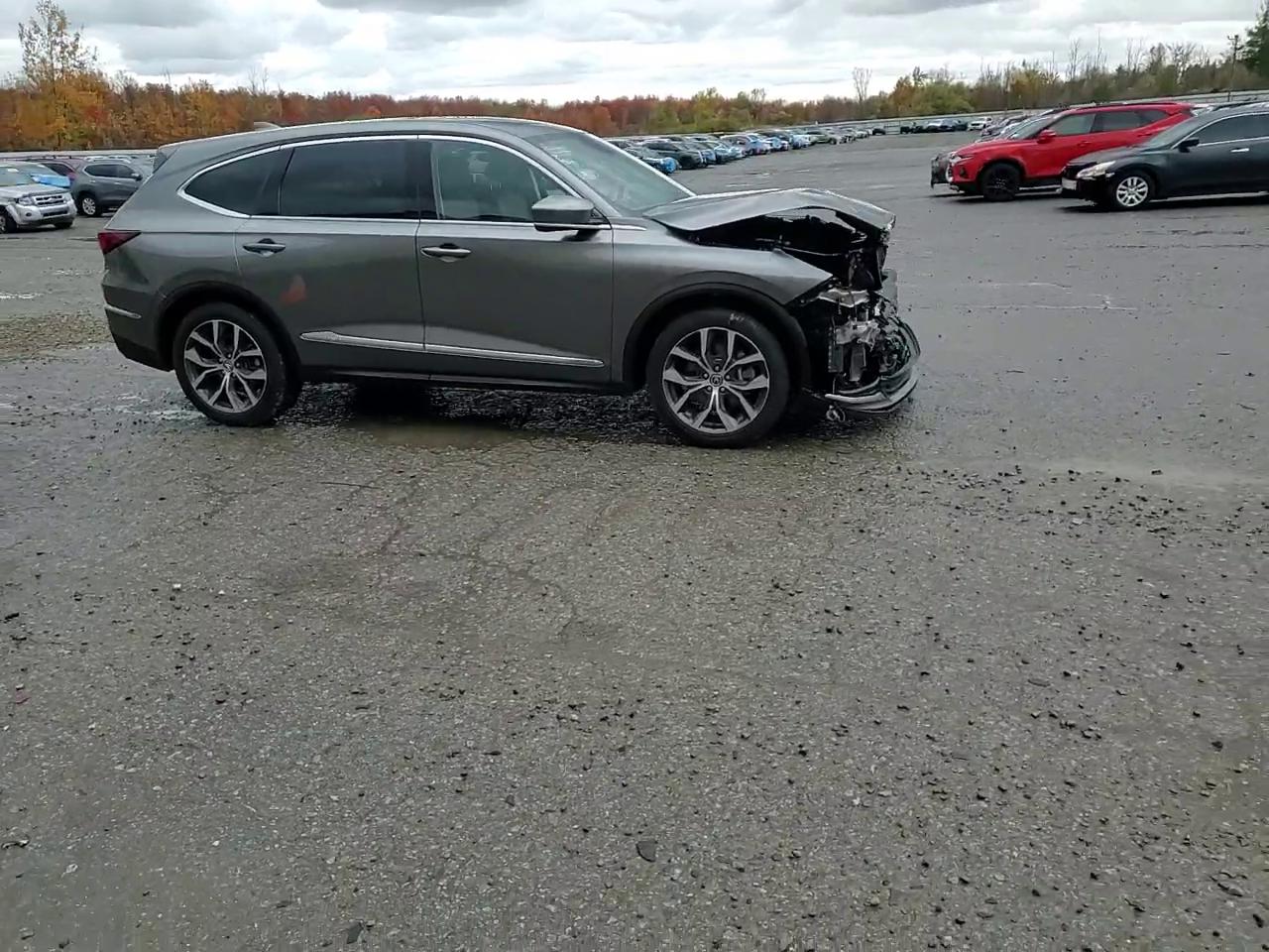 Фото: 5J8YE1H41RL010714