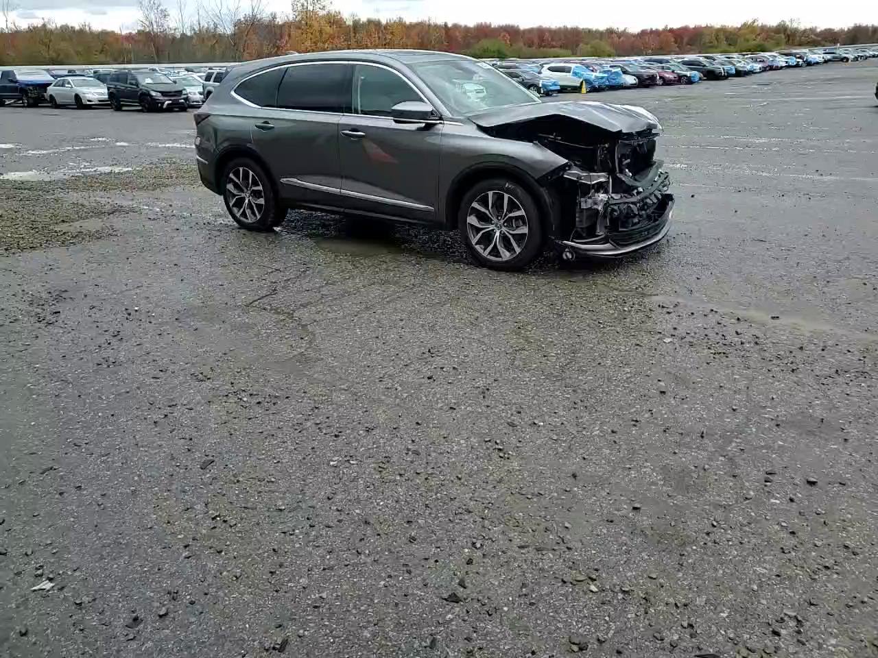 Фото: 5J8YE1H41RL010714