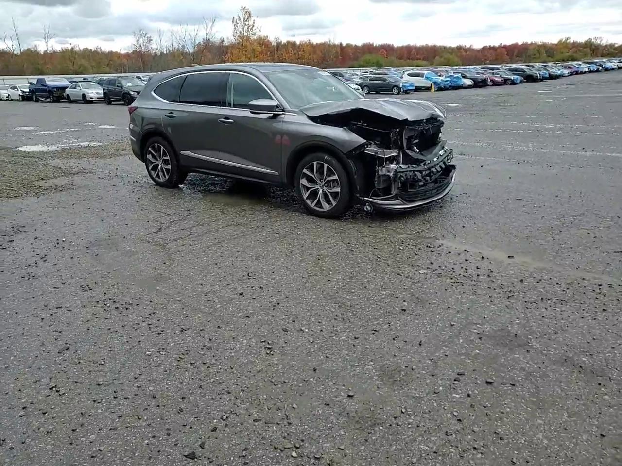 Фото: 5J8YE1H41RL010714