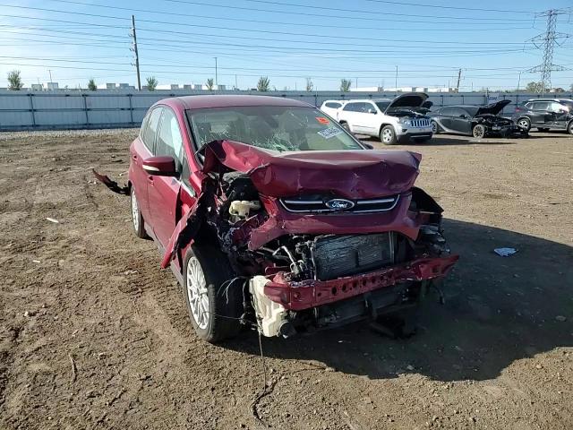 2015 Ford C-Max Sel VIN: 1FADP5BUXFL113817 Lot: 82744845