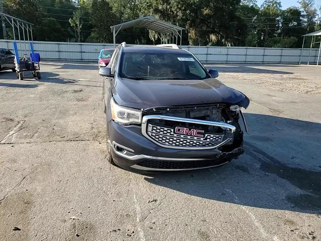 2019 GMC Acadia Denali VIN: 1GKKNXLS0KZ183029 Lot: 81993205